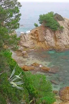 Жардинс де Сент Клотильде