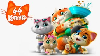 44 котёнка