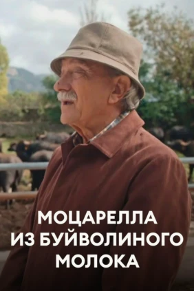 Моцарелла из буйволиного молока