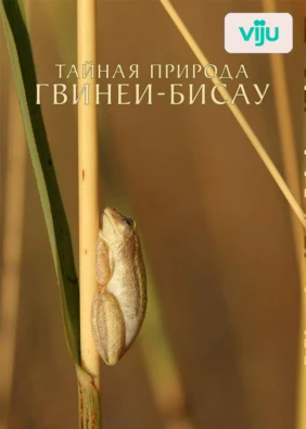 Тайная природа Гвинеи-Бисау