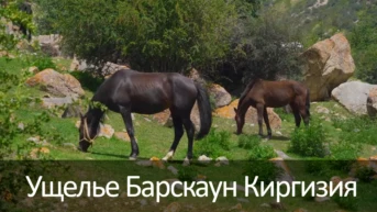 Ущелье Барскаун Киргизия