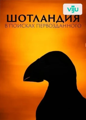 Шотландия: В поисках первозданного