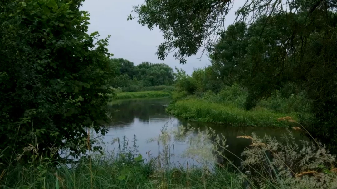 Передача Река Щара Беларусь