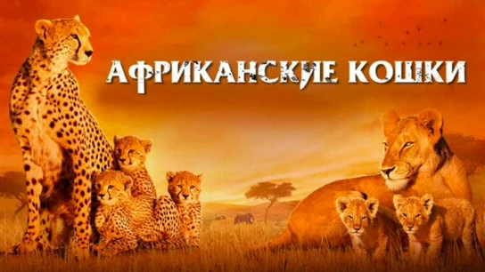 Африканские кошки