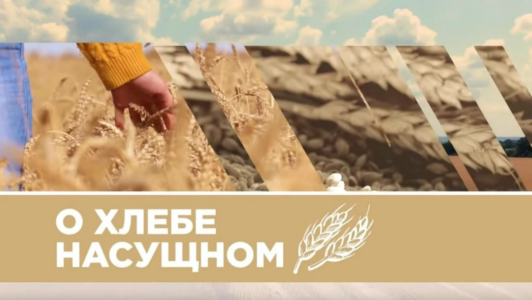 Передача О хлебе насущном