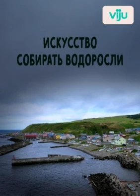 Искусство собирать водоросли