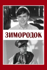 Зимородок