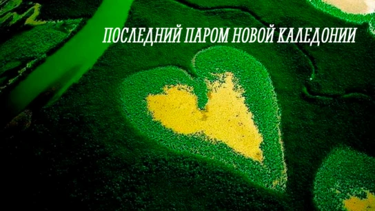 Последний паром Новой Каледонии