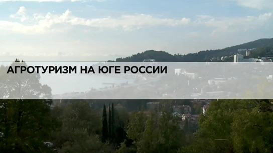 Агротуризм на юге России