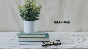 Иван-чай
