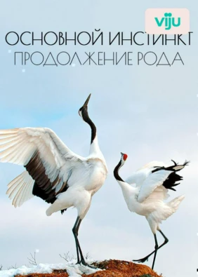 Основной инстинкт. Продолжение рода