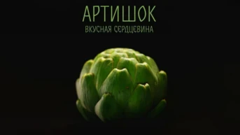 Артишок: вкусная сердцевина