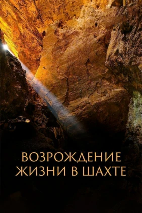 Возрождение жизни в шахте
