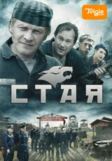 Стая