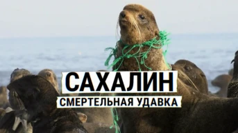 Сахалин. Смертельная удавка