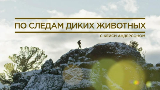 По следам диких животных с Кейси Андерсоном