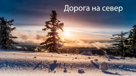 Дорога на север