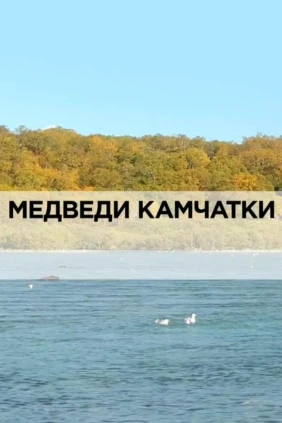 Медведи Камчатки