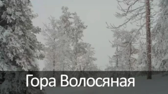 Гора Волосяная