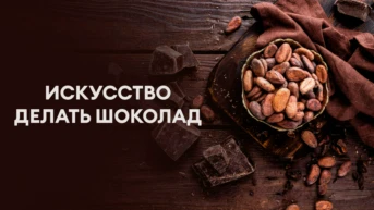 Искусство делать шоколад