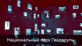 Национальный парк Гваделупы