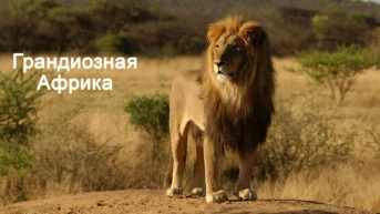 Грандиозная Африка