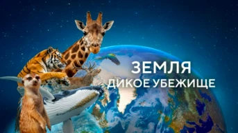 Земля. Дикое убежище