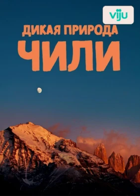 Дикая природа Чили