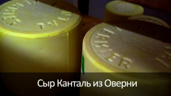 Сыр Канталь из Оверни