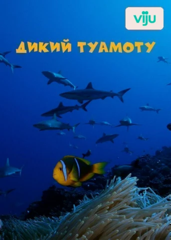 1 серия