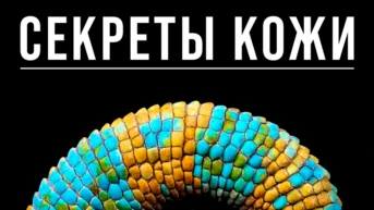 Секреты кожи