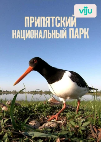 Припятский национальный парк