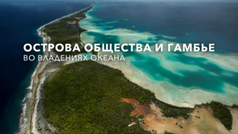 Острова Общества и Гамбье. Во владениях океана