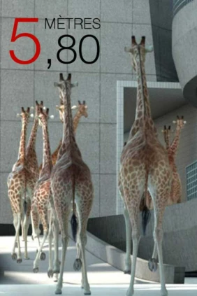 5,80 метров