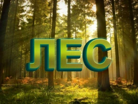 Лес