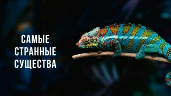 Самые странные существа