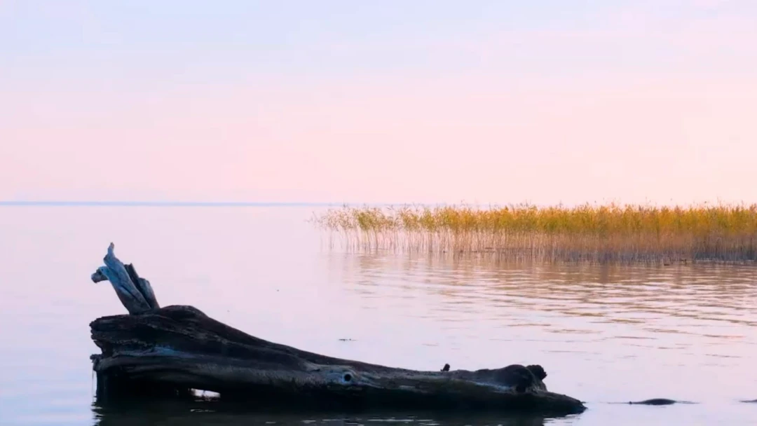 Передача Новосибирское водохранилище