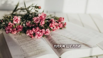Пляж Шелли