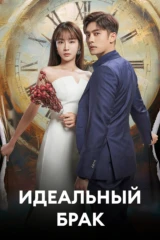 Идеальный брак