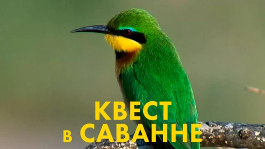 Квест в Саванне