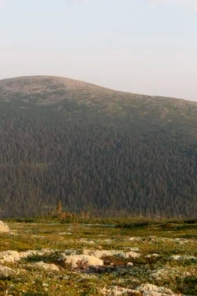 Гора Лувеньгские Тундры