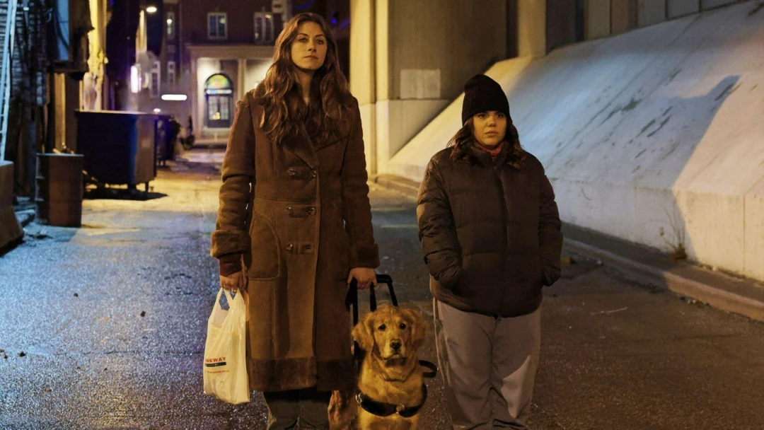 Сериал Во тьме