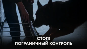 Стоп! Пограничный контроль