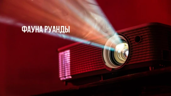 Фауна Руанды