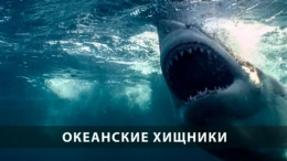 Семижаберники