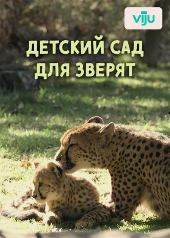 1 серия