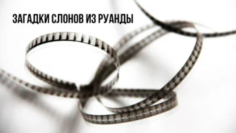 Загадки слонов из Руанды