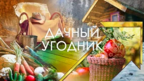 9-я серия