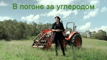 В погоне за углеродом