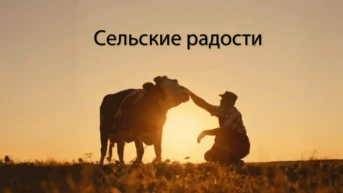 Сельские радости